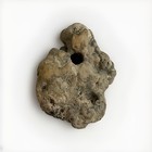 Hag Stone  Holey Stone  Naturally Formed  Beach Rock With Fossil Shells
