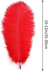Red Ostrich Feathers 12pcs Natural Bulk 10-12inch 25cm-30cm For Crafts Wedding P