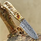 Custom Made Forged Damascus Steel Hunting Skinner Knife Ram Horn Handle 2935