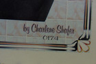 Charlene Shafer Machine Knitting Book  174 Raglans Patterns