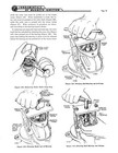 Fairbanks Morse Magneto Service   Parts Manual For Rv Series Mags  434
