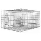 Sparrow Trap W  Two Chambers Lightweight Large Capacity  8 In  X 12 In X 16 In  