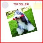 Kong - Squeezz Stick - Strong Squeaky Dog Toy  Squeaks Even If Punctured - For L