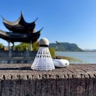 12 Packs Badminton Shuttlecocks Nylon Feather White 