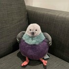 Jelly Cat Leicester Pigeon - London Selfridges Exclusive Bnwt - Limited Release