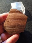 Superb Celtic  Fragment In Clay Vessel  Celtic Ostracom Legend Celtic