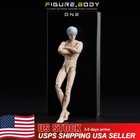 Vtoys X Bms 1 12 Male Flexible Doll Pale Action Figure Jointed Body   Head Model