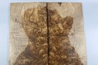 5a Electric Guitar Top Birdseye Spotted Golden Camphor Wood Burl Luthier Supply
