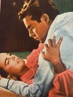 Between Heaven And Hell 1956 Original Vintage Lobby Card With Terry Moore