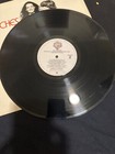 The Roches  s t  1979  warner Bros  bsk3298  Vg vg   