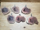 Large Flat Manzanita Rounds  Sanded With Hardware Bird Perches