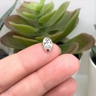 Antique Silver Flower Print Spacer Beads  10x6mm  10x6mm - Us Seller