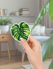Monstera Leaf Die Cut Vinyl Stickers Set Scrapbooking Laptop Waterbottle