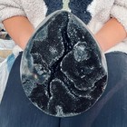 6 38lb Natural Septarian Dragon Stone Quartz Specimen Crystal Reiki Healing