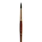 Princeton Artist Brush  Neptune Series 4750  Synthetic Squirrel Watercolor Pa   
