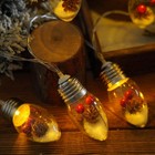 Christmas Snow Globe String Lights Indoor Decorations   10 Led Clear Bulbs Christm