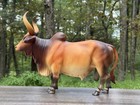 Breyer Red Brahma Bull Cow  385