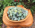 1 4 Lb Prehnite With Epidote Tumbled Stones  crystal Healing Reiki  4 Oz