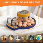 18 Egg Incubator For Hatching Eggs  Chicken Incubator With Automatic Turner  
