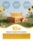 Bee Hive Langstroth Medium Beehive Kit 10 Frames Acrylic Bee Windows