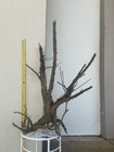 Driftwood Aquarium Terrarium Fish Shrimp Reptile Aquascape 
