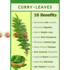 Curry Leaves Powder      100  Natural  Premium  A-grade  Fresh Dried  Bulk Ceylon