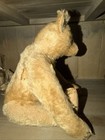 Rare Antique Steiff Mohair Teddy Bear W blank Ear Button   U s  Zone Germany Tag