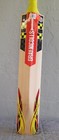Gray-nicolls Powerbow5 300 Cricket Bat