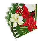 Caspari Christmas Garden Cocktail Napkins - Set Of 20