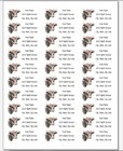 150 Primitive Cow Country Flowers Mailing Return Address Labels Personalized