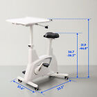 Flexispot 3-in-1 Exercise Bike  Indoor Cycling Bike With Seat desktop 350lbs