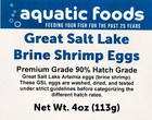 4 Ounce  113grams  Brine Shrimp Artemia  Gsl Eggs