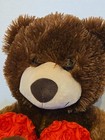 Walmart Valentine   s Day Brown Teddy Bear Xoxo Heart 18  Plush Stuffed Animal Toy