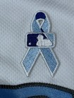 Mlb Tampa Bay Rays Fathers Day Game Used worn Tim Beckham Jersey 