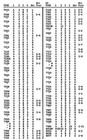 Eico 635 Tube Tester Manual With 1976 Tube Test Data