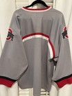 Euc Nike Ohio State Hockey Jersey Size Men   s L Gry   Red Embroidered Satin Ltrs 