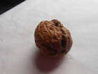 Antique Asian Chinese Walnut Carved Budha   Qing Dynasty    
