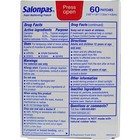 Salonpas Pain Relieving Patches Works For 8 Hours 60 Per Box