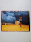 Rodgers   Hammerstein s Oklahoma  Programme - Theatre Royal Plymouth
