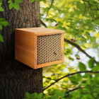 Mason Bee House -wax Coated Bee Houses bee House For The Garden  Mason Bee Hotel