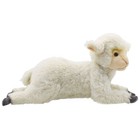 Hansa Lamb 43 Bh4287 New Realistic Plush Animals From Japan