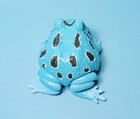 Bandai The Diversity Of Life On Earth Peppermint Argentine Horned Frog Figure