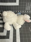 Webkinz White Rabbit Hm078 With Code Tags Brand New Ganz Retired 