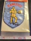 Vintage On Card Tennessee Tn State Travel Souvenir Iron Patch Voyager