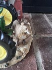 Vtg John Deere Tractor Barn Dog Table Decor Farm Clock Working Farmhouse