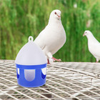 Pigeon Water Feeder 6 3 Inch Detachable Bird Water Dispenser For Pigeons Quail A