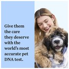 Wisdom Panel Dog Breed Discovery Dna Test Kit Breed Identification 