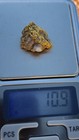10 9 Gram Gold And Quartz Specimen Nugget 