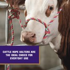 Braided Poly Rope Cattle Halter  Adjustable Style Cow Calf Halter  Livestock    