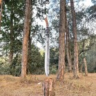 Custom Handmade 30   Survival Viking Sword   Carbon Steel Blade   Hunting Sword